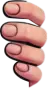 Right hand